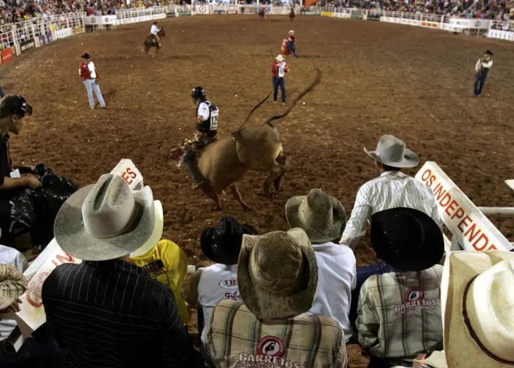 Festa do Peão de Barretos reúne shows e rodeios até 31 de agosto