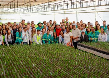MG ganha centro pioneiro de produção de biocombustíveis de macaúba