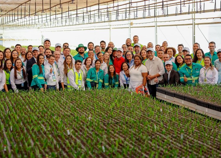 MG ganha centro pioneiro de produção de biocombustíveis de macaúba