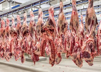 Exportação: com 300 mil toneladas, carne bovina marca recorde em julho