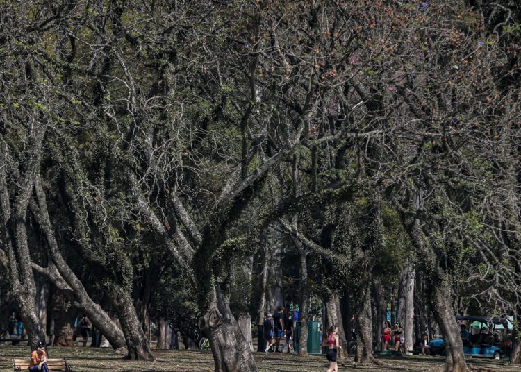 Cidade de São Paulo tem agosto mais seco desde 2020