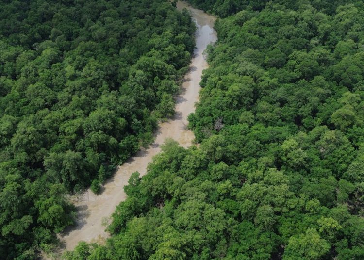 Tratado de Cooperação Amazônica reforça compromissos da COP30