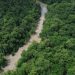 Tratado de Cooperação Amazônica reforça compromissos da COP30