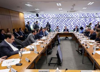 Câmara apresenta texto sobre adultização infantil nas redes em 30 dias