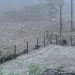 Cidades do Rio Grande do Sul amanhecem com neve