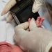 Nova lei define medidas de redução da mortalidade de bebês prematuros