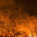 Estado de São Paulo está na semana de maior risco para incêndios