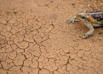 Doze cidades em estado de emergência por excesso ou falta de chuva