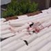 Morador que matou suspeito de invasão em Campos é preso