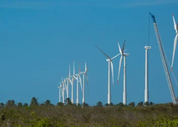 BNDES lança edital para impulsionar desenvolvimento sustentável
