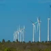 BNDES lança edital para impulsionar desenvolvimento sustentável