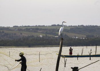 PF vai investigar possíveis fraudes de atravessadores no Seguro-Defeso