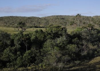 Viva Maria reforça campanha pela proteção do Cerrado