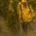 Fotógrafo da Agência Brasil é destaque em prêmio internacional