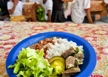 Agricultura familiar pode chegar a 45% dos gastos da merenda escolar