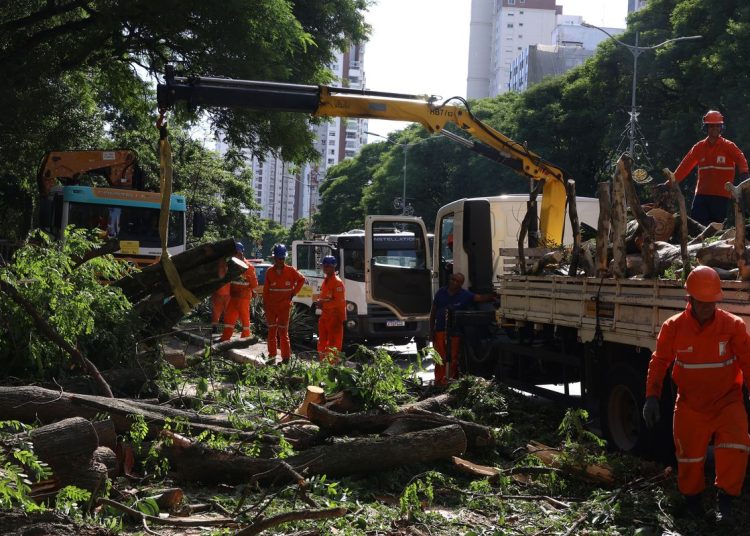 Ciclone extratropical: Mais de 2 mi de pessoas estão sem energia em SP