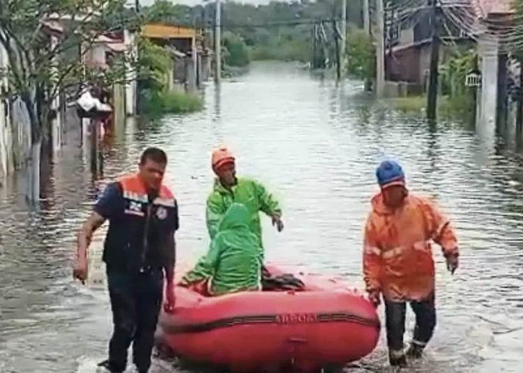 Chuvas em SP provocaram pelo menos 19 mortes desde dezembro