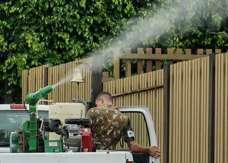 Mato Grosso do Sul vai receber vacina em projeto contra chikungunya