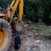 MG: mais de 400 produtores rurais foram prejudicados pelas chuvas