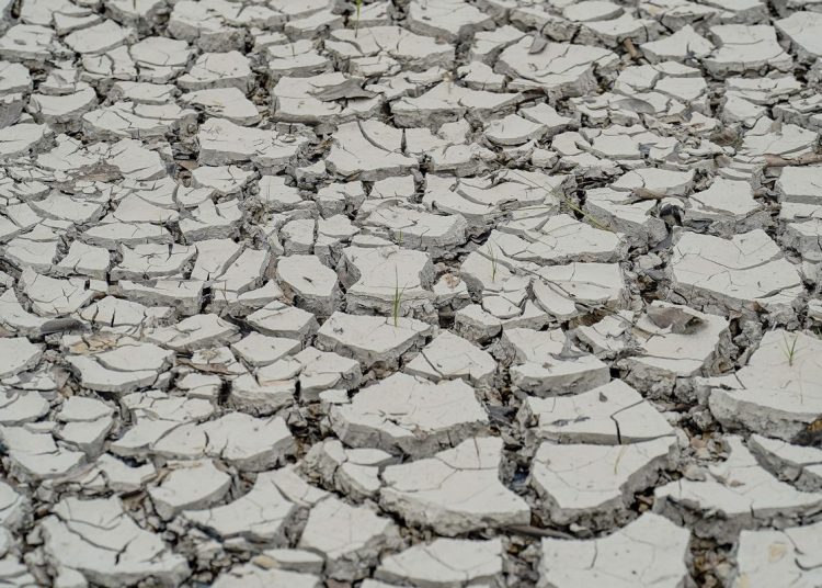 Estiagem: quinze cidades têm situação de emergência decretada
