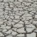Estiagem: quinze cidades têm situação de emergência decretada