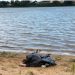 Corpo de mulher é encontrado no Rio Paraíba do Sul,em Guarus