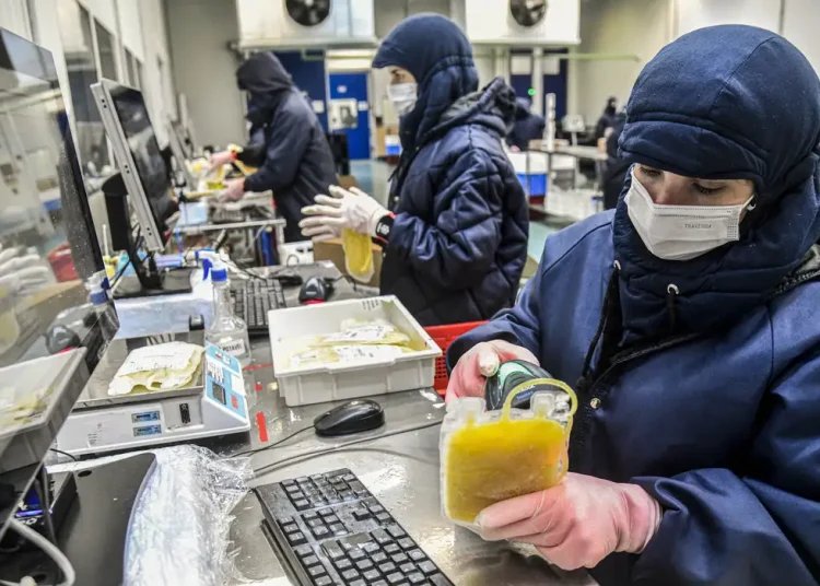 Dia Mundial da Hemofilia: campanha reforça importância do diagnóstico