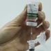 Opas alerta para alta de casos de gripe K e VSR no Hemisfério Sul