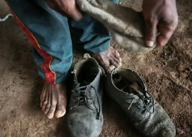 Senado aprova proteção a trabalhadores resgatados de trabalho escravo