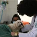 Exercício ilegal da medicina veterinária passa a ser crime