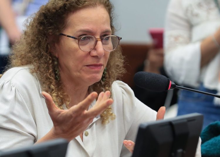 Parlamentares governistas vão aos EUA apresentar contraponto à direita