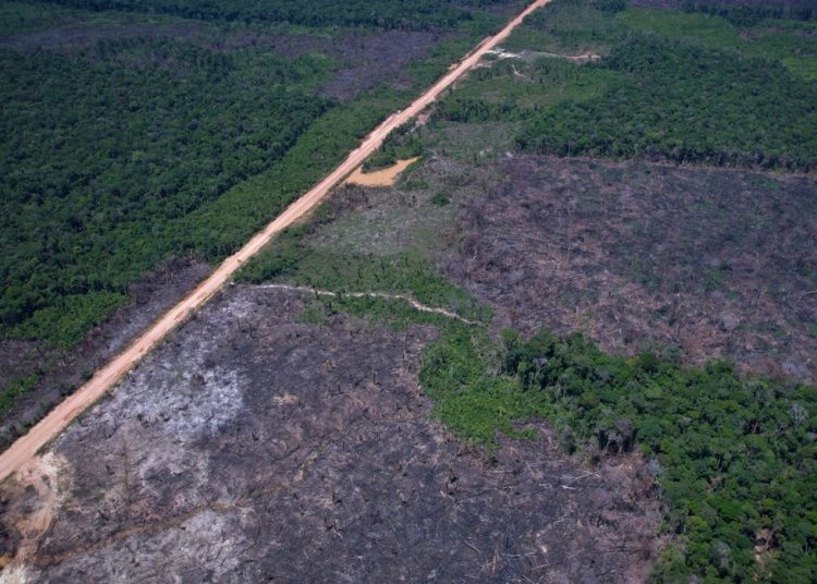Eco Invest Brasil promove quinto leilão para financiar inovação
