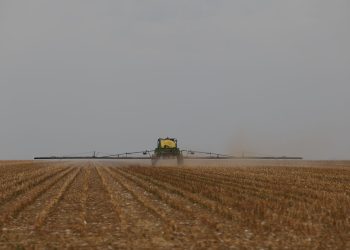 CMN aprova crédito de R$ 10 bilhões para inovação no agronegócio