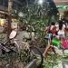 Ventania causa apagão e paralisa transportes no Rio de Janeiro