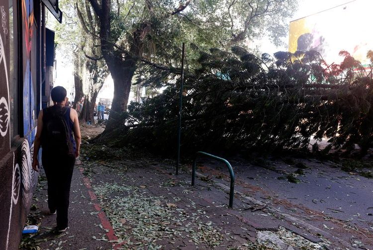 Rede elétrica mais resiliente requer investimento de concessionárias