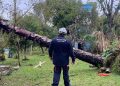 Defesa Civil reconhece situação de emergência em 17 municípios do RS