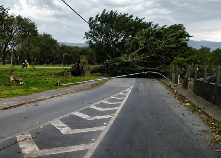 Ventos fortes matam três pessoas em São Paulo