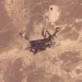 Arábia Saudita paralisa oleoduto, e houthis controlam Mar Vermelho
