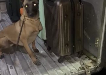 PRF prende homem e apreende adolescente transportando ao todo, 24kg de drogas em Três Rios