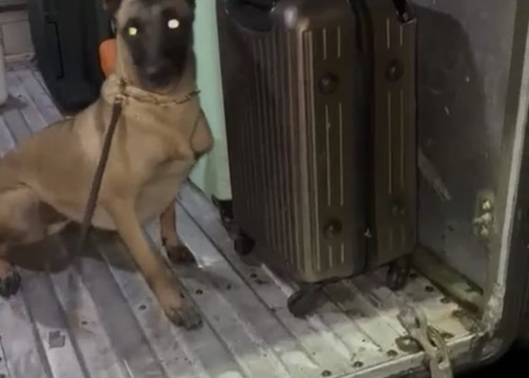 PRF prende homem e apreende adolescente transportando ao todo, 24kg de drogas em Três Rios
