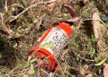 Cenipa recupera caixa-preta de helicóptero que levava cantor Rick