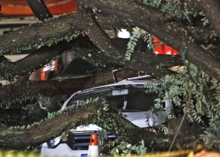 Chuvas fortes levam Defesa Civil a emitir mais de 50 alertas em SP