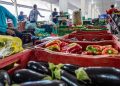 Campanha busca engajamento para reduzir desperdício de alimento