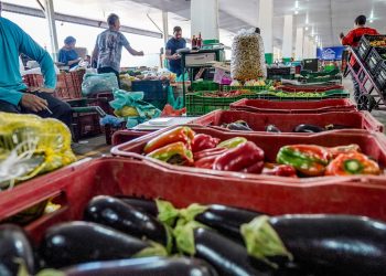 Campanha busca engajamento para reduzir desperdício de alimento