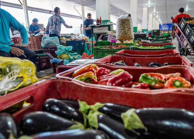 Campanha busca engajamento para reduzir desperdício de alimento